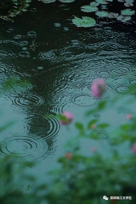 {百家樂}(散文听雨叶延滨)